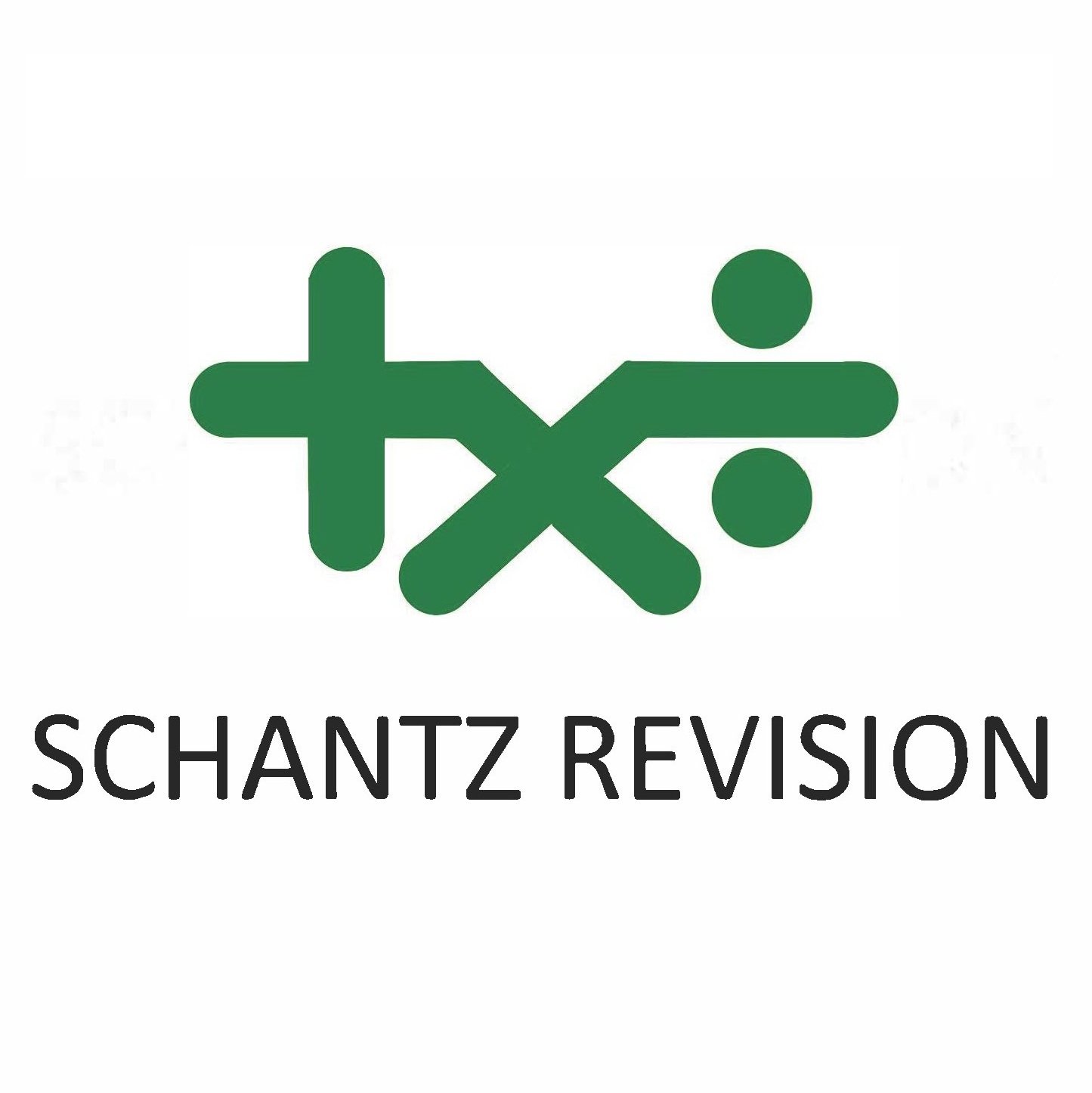 Schantz Revision A/S
