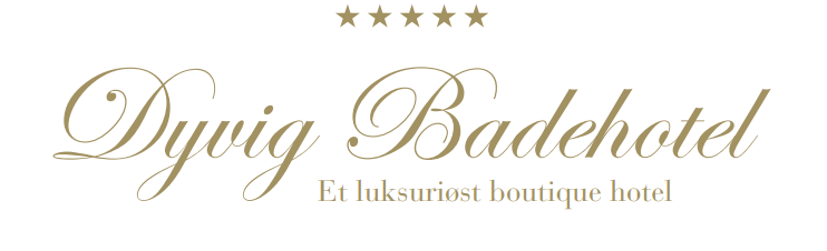 Dyvig Badehotel