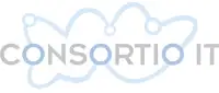 Consortio IT ApS