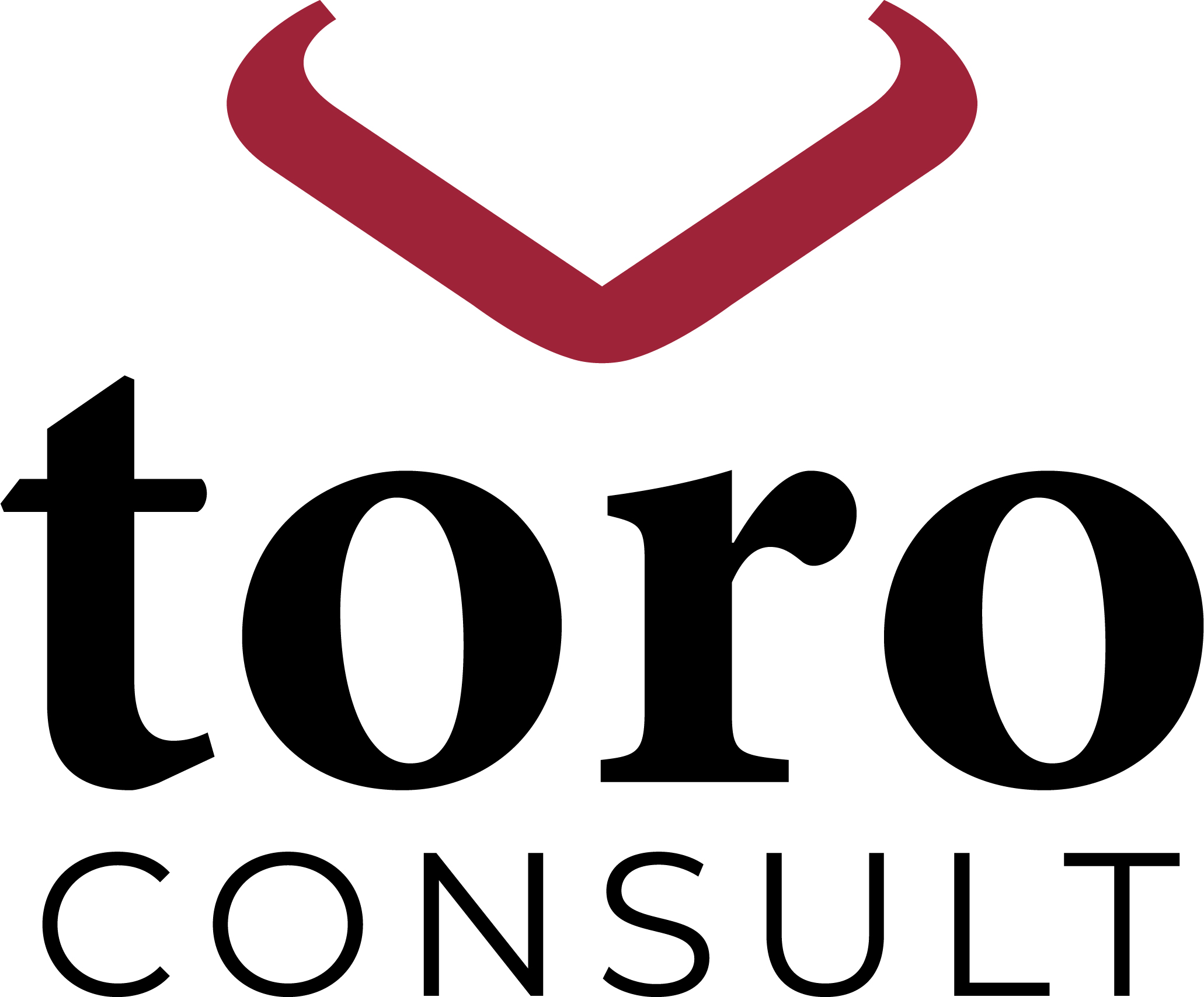 Toro Consult