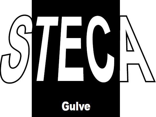 STECA Gulve Aps