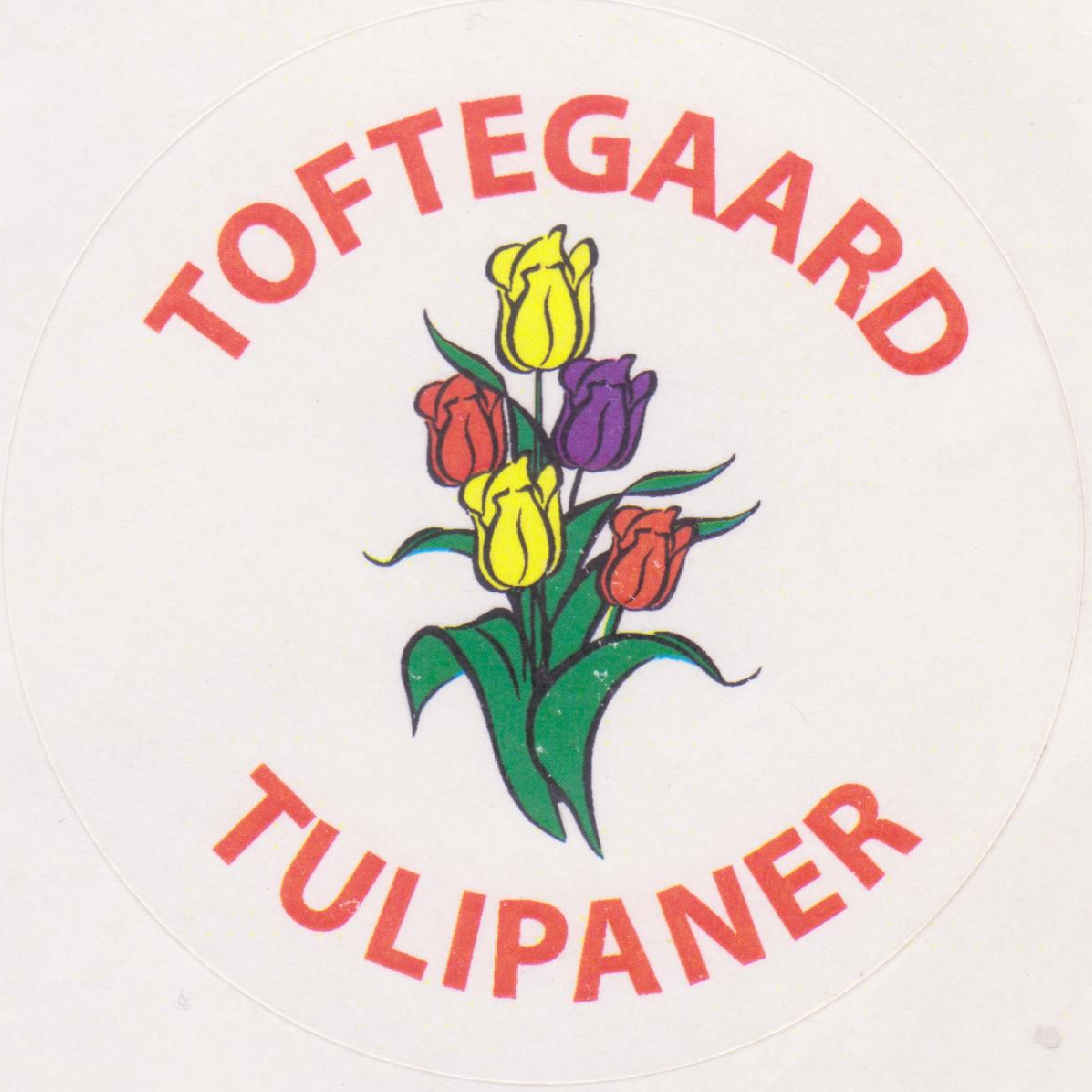 Toftegaard tulipaner